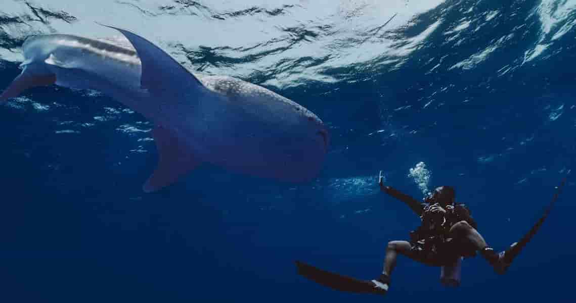 Thumbnail 1 Thumbnail 1