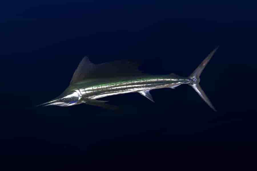 Thumbnail 7 Thumbnail 7