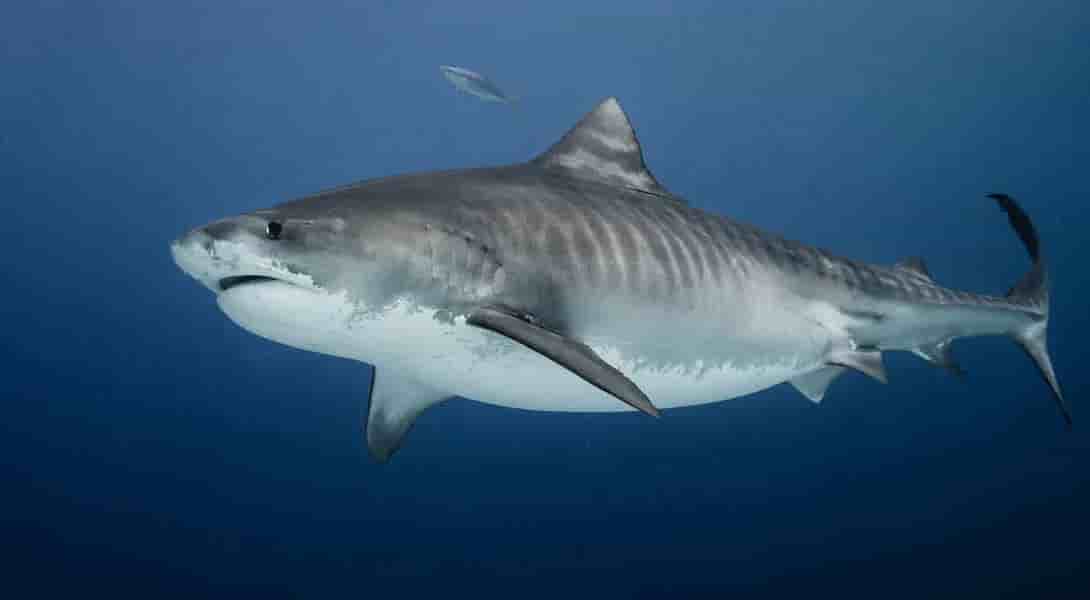 Thumbnail 5 Thumbnail 5