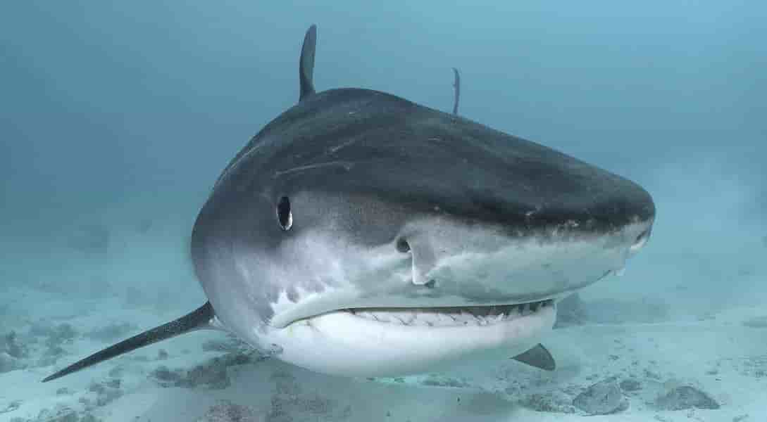 Thumbnail 8 Thumbnail 8