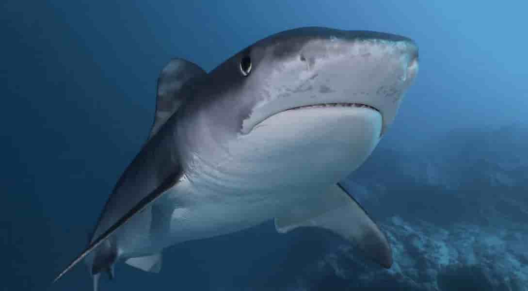 Thumbnail 11 Thumbnail 11