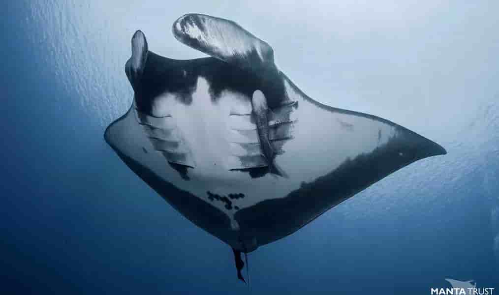 Thumbnail 17 Thumbnail 17