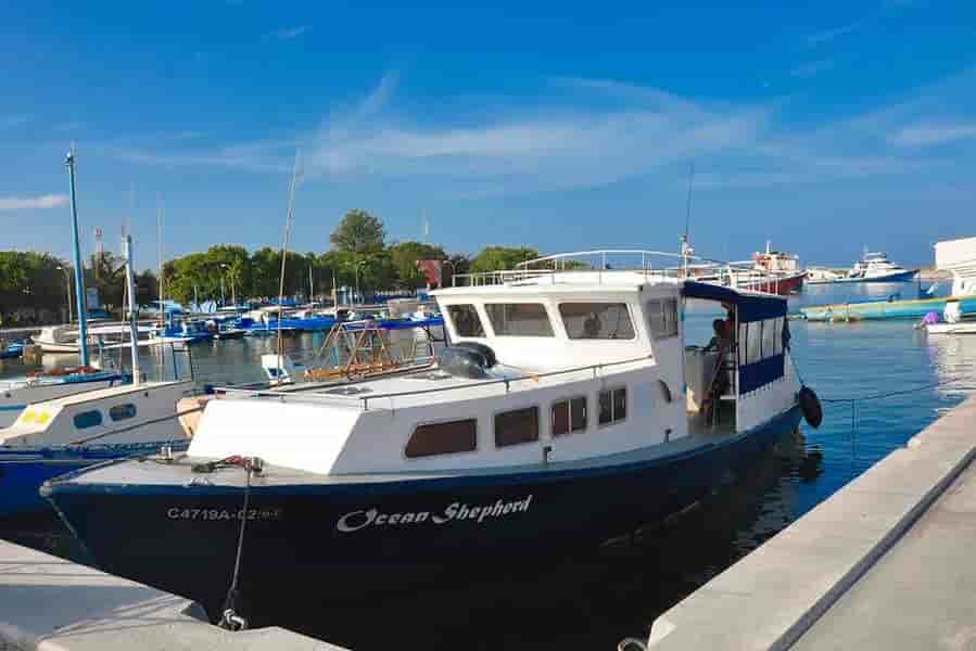 Thumbnail 23 Thumbnail 23