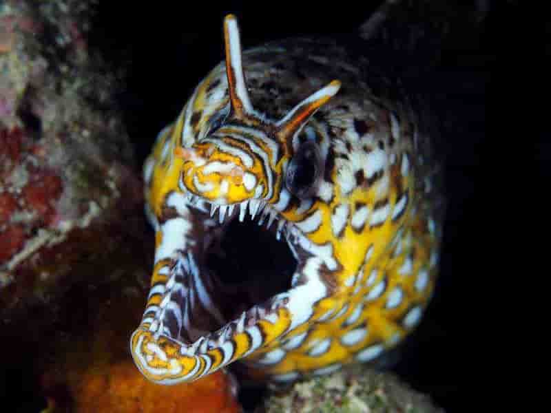 Thumbnail 6 Thumbnail 6