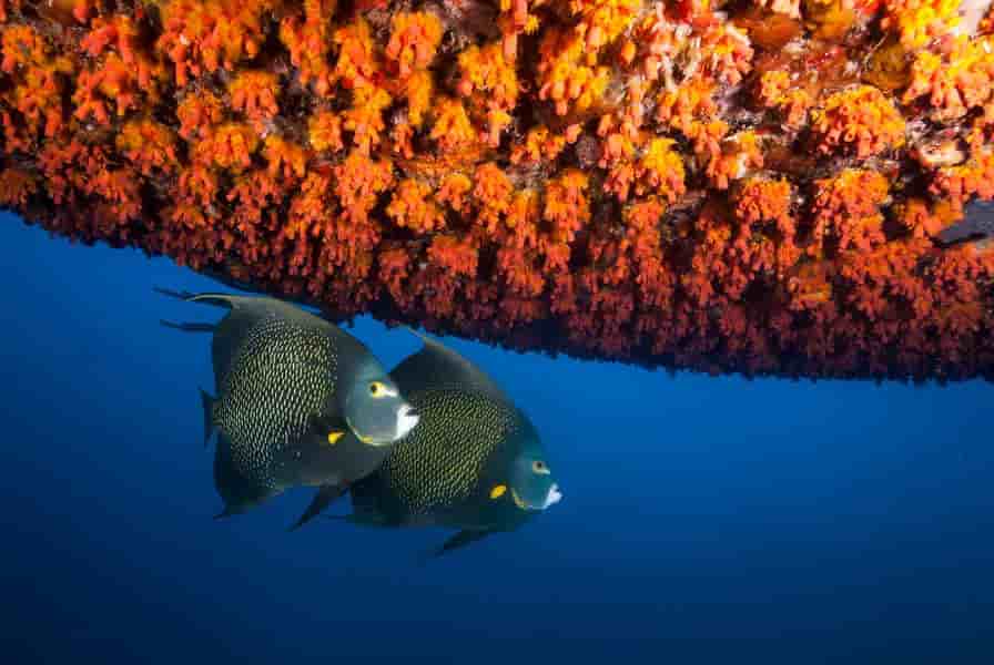 Thumbnail 17 Thumbnail 17