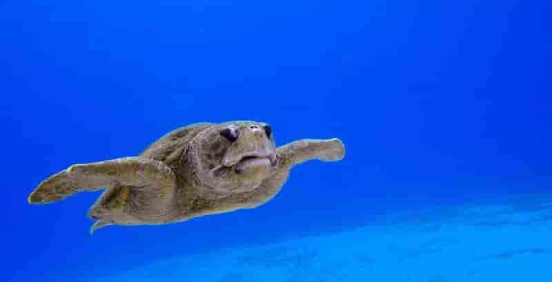 Thumbnail 2 Thumbnail 2