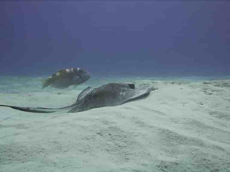 Thumbnail 4 Thumbnail 4