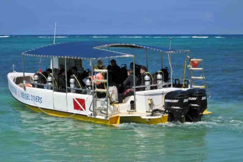 Thumbnail 5 Thumbnail 5