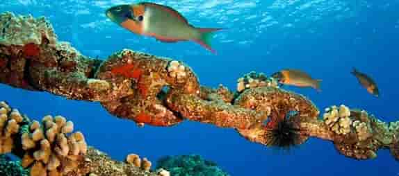 Thumbnail 4 Thumbnail 4