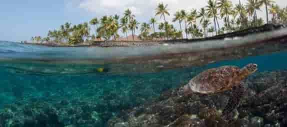 Thumbnail 6 Thumbnail 6