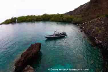 Thumbnail 10 Thumbnail 10