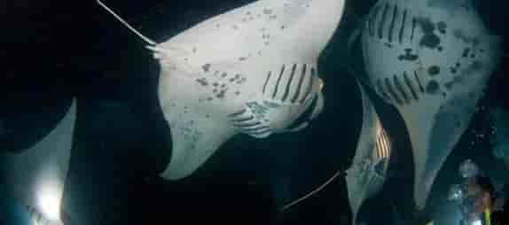 Thumbnail 12 Thumbnail 12