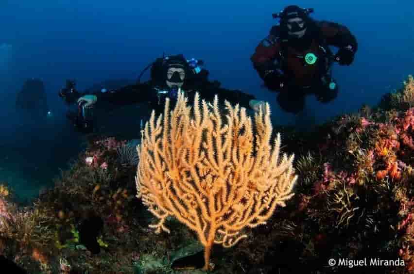 Thumbnail 9 Thumbnail 9