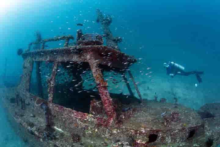 Thumbnail 3 Thumbnail 3