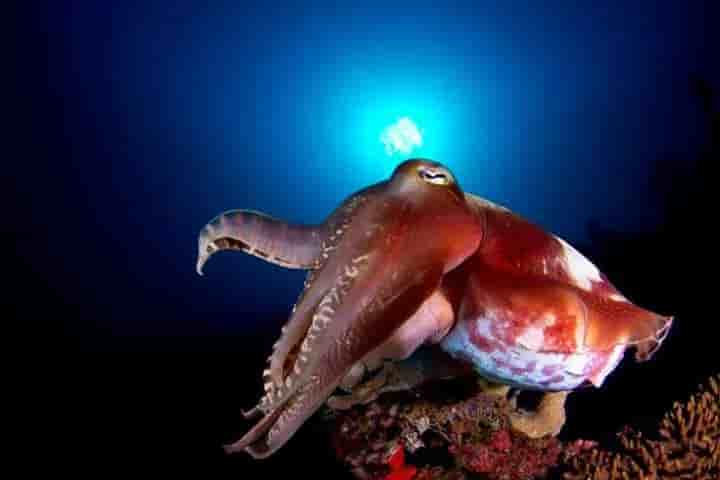 Thumbnail 4 Thumbnail 4