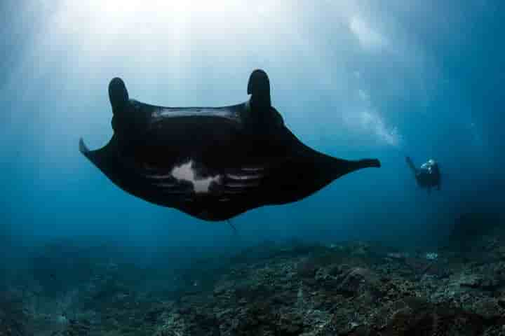 Thumbnail 5 Thumbnail 5