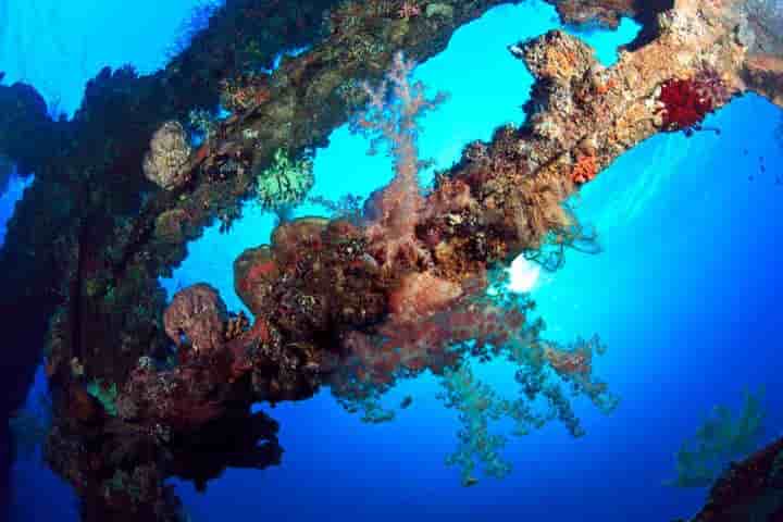 Thumbnail 11 Thumbnail 11