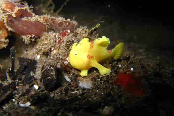 Thumbnail 10 Thumbnail 10