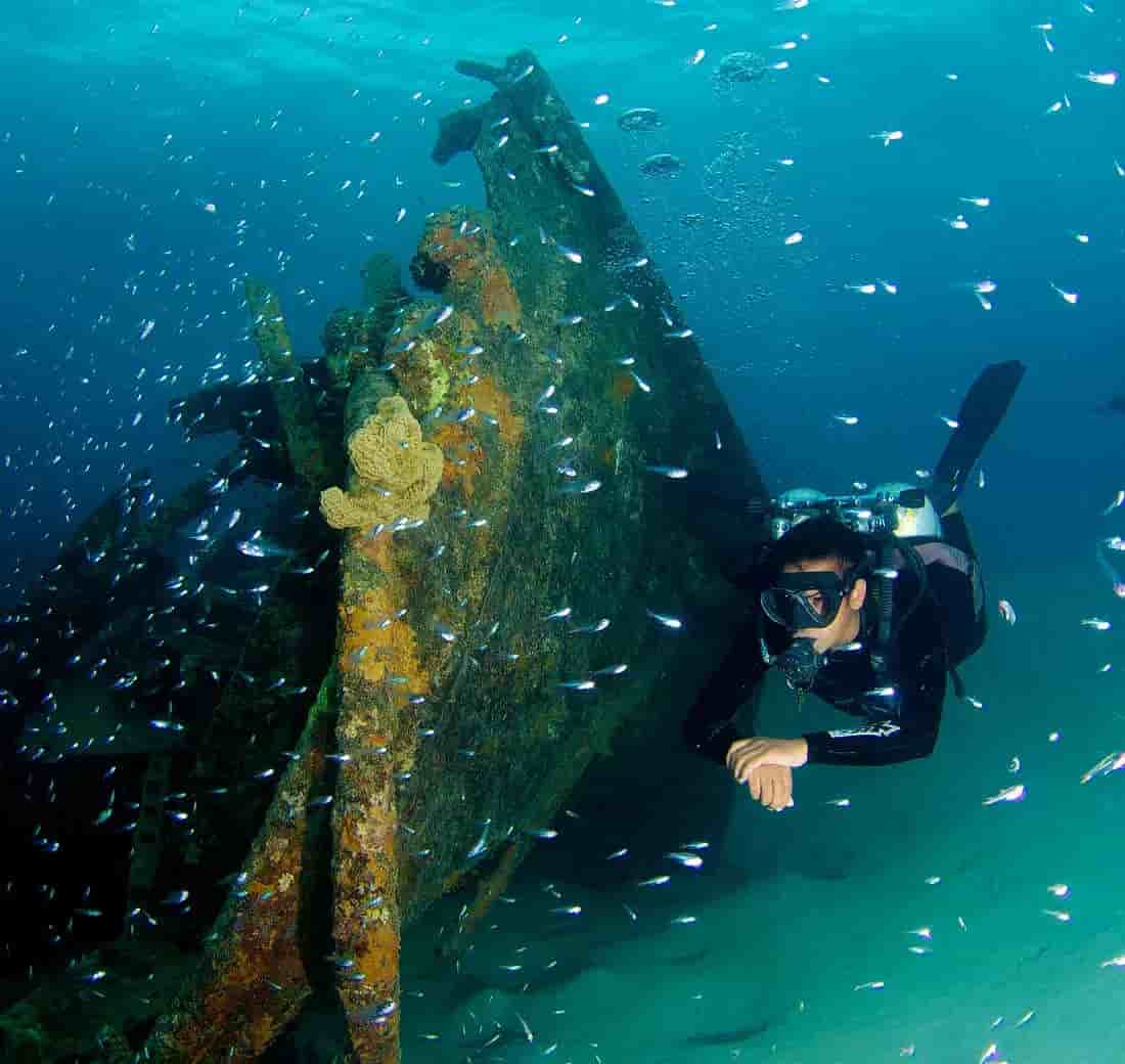 Thumbnail 3 Thumbnail 3