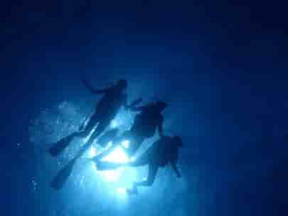 Thumbnail 1 Thumbnail 1