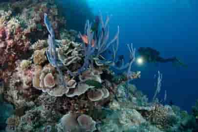 Thumbnail 2 Thumbnail 2