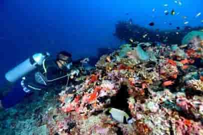 Thumbnail 3 Thumbnail 3