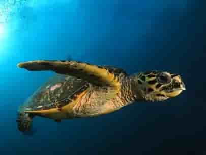 Thumbnail 5 Thumbnail 5