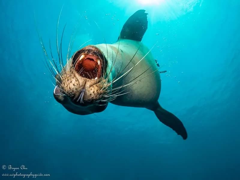 No alternative text provided No alternative text provided