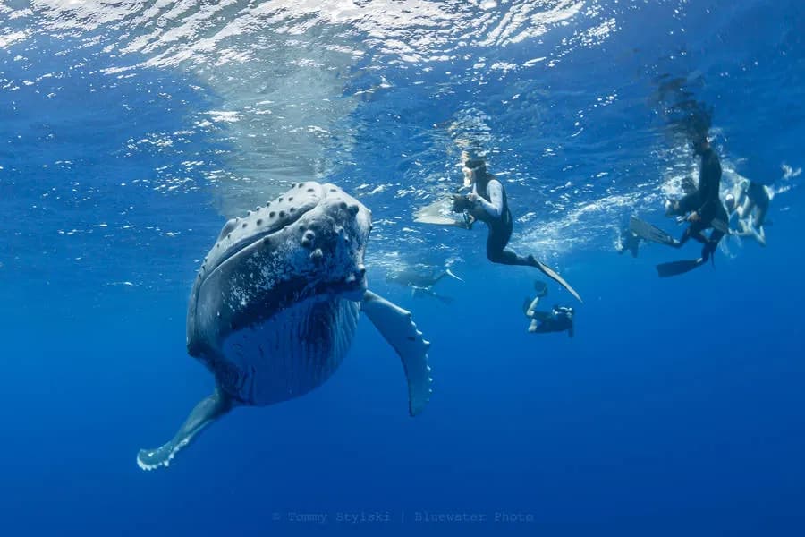 No alternative text provided No alternative text provided