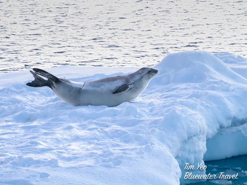 No alternative text provided No alternative text provided