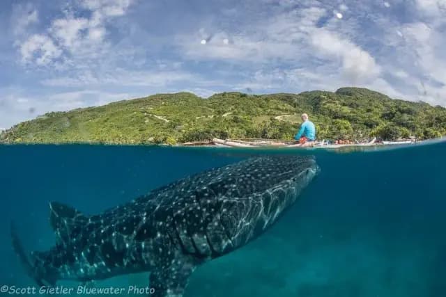 Anilao Trip Extensions Anilao Trip Extensions