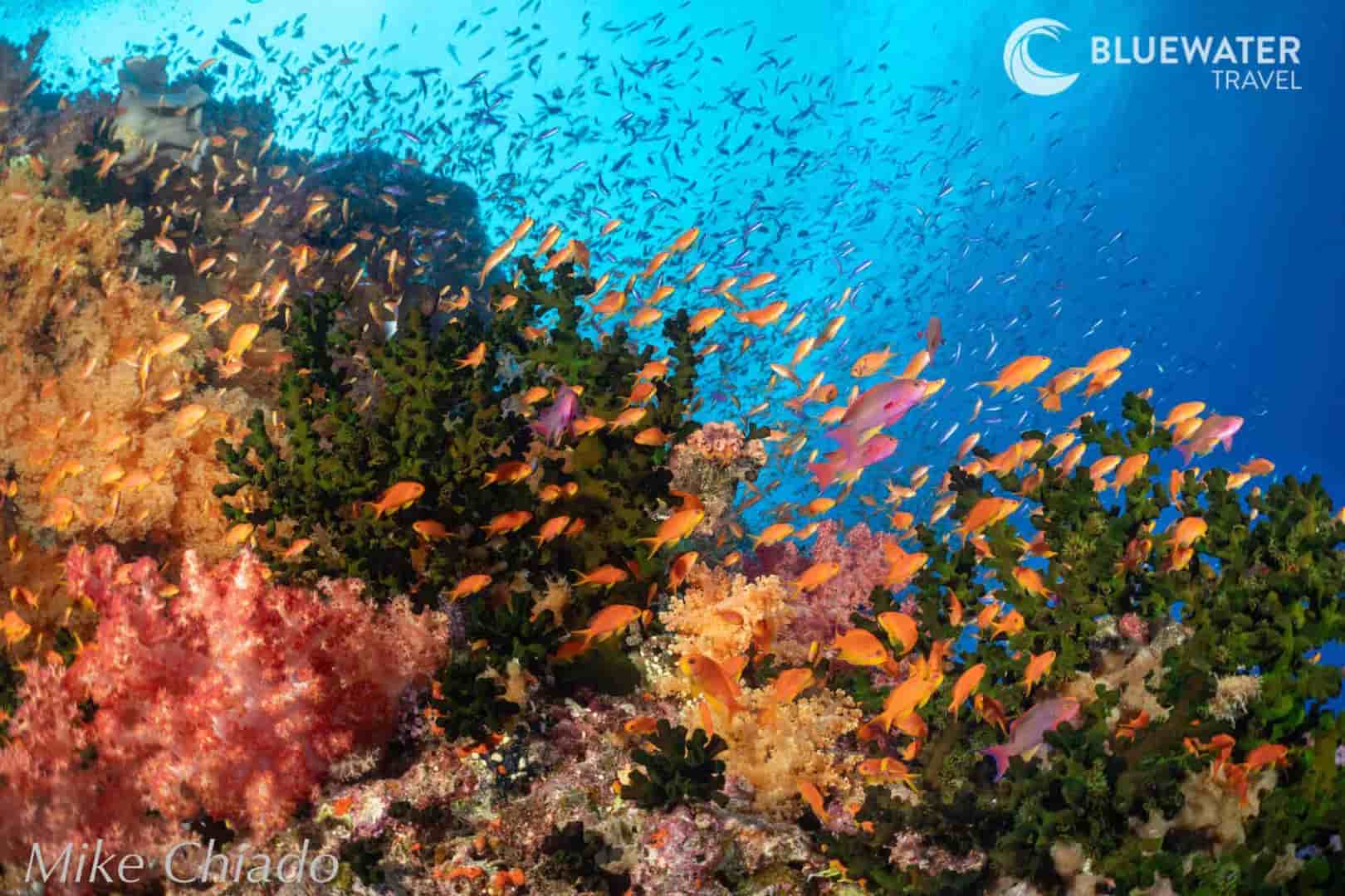 Thumbnail 5 Thumbnail 5