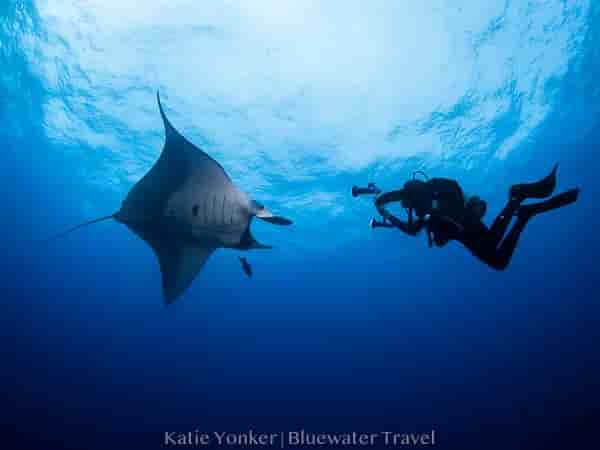 Thumbnail 2 Thumbnail 2