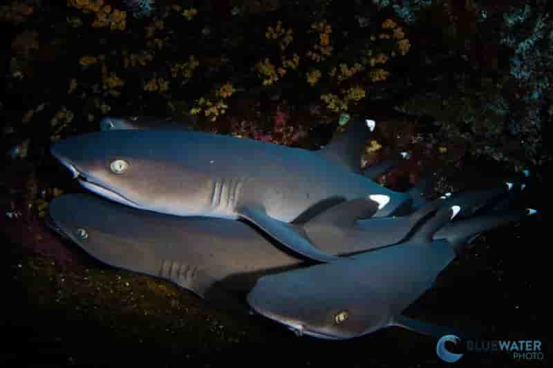 Thumbnail 4 Thumbnail 4