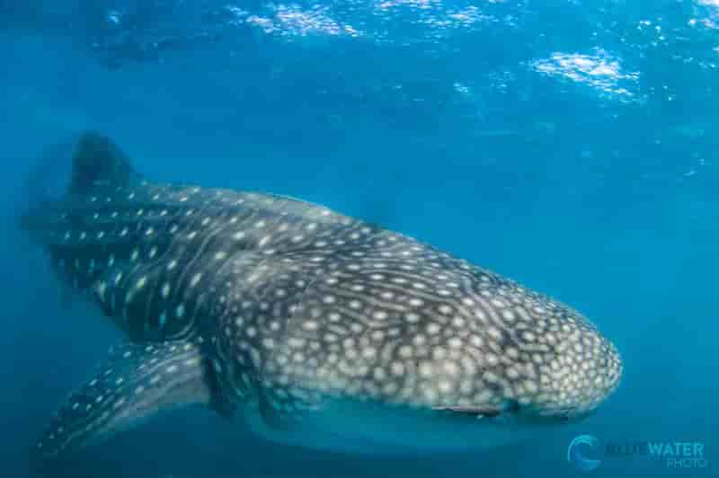 Thumbnail 3 Thumbnail 3