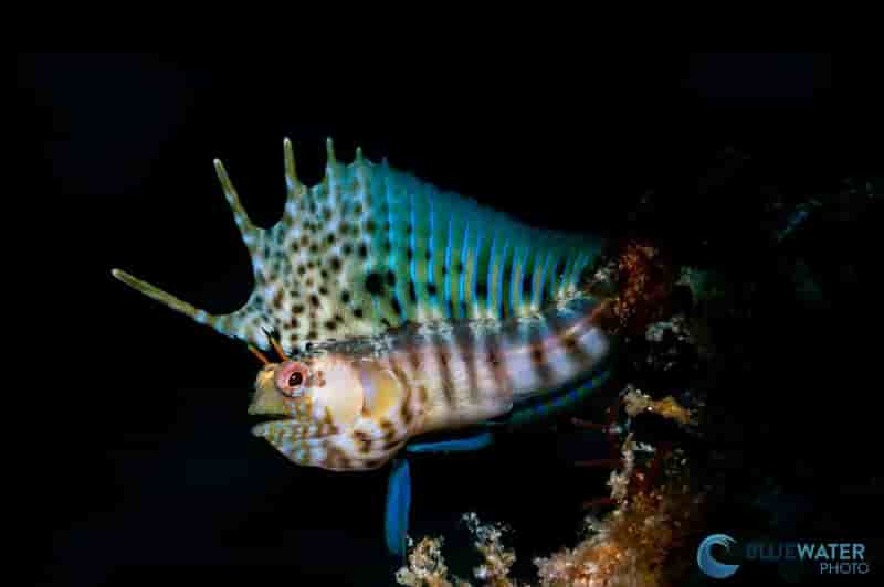 Thumbnail 5 Thumbnail 5