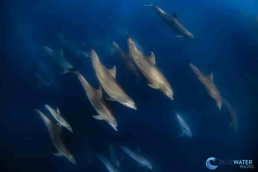 Thumbnail 3 Thumbnail 3