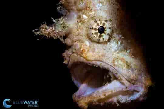 Thumbnail 5 Thumbnail 5