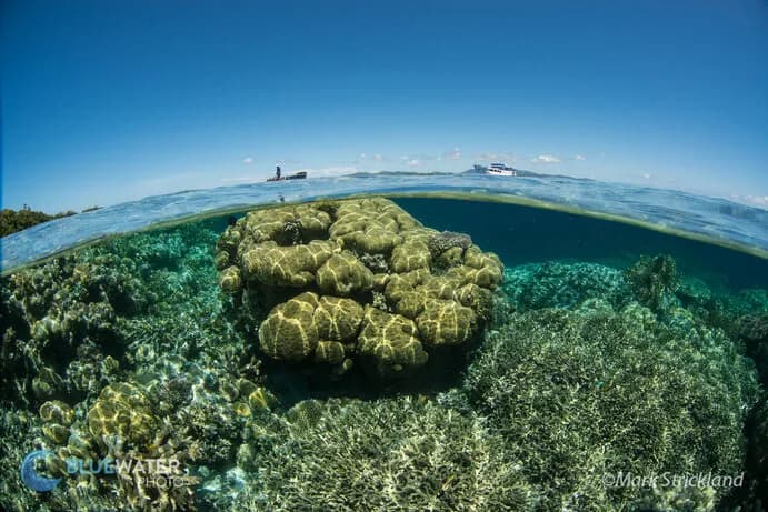 No alternative text provided No alternative text provided