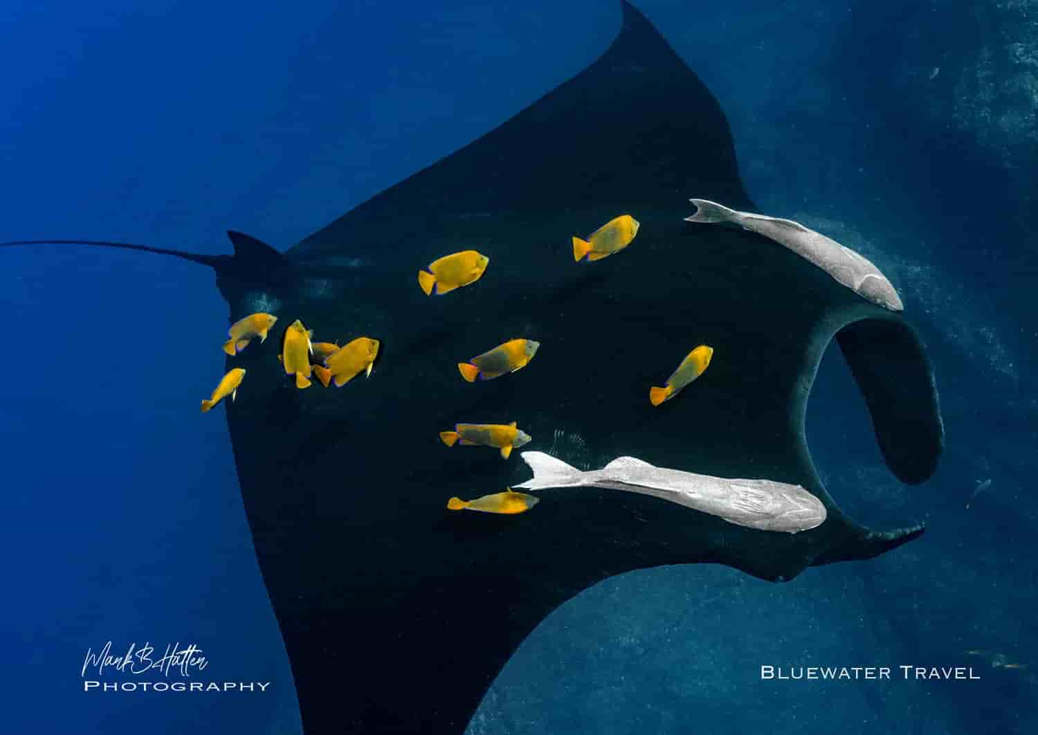 Thumbnail 2 Thumbnail 2