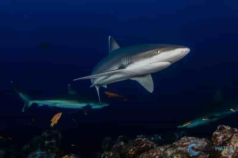 Thumbnail 4 Thumbnail 4