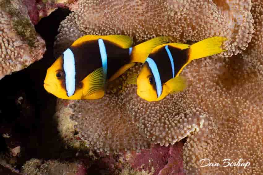 Thumbnail 2 Thumbnail 2