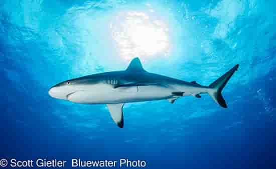 Thumbnail 3 Thumbnail 3