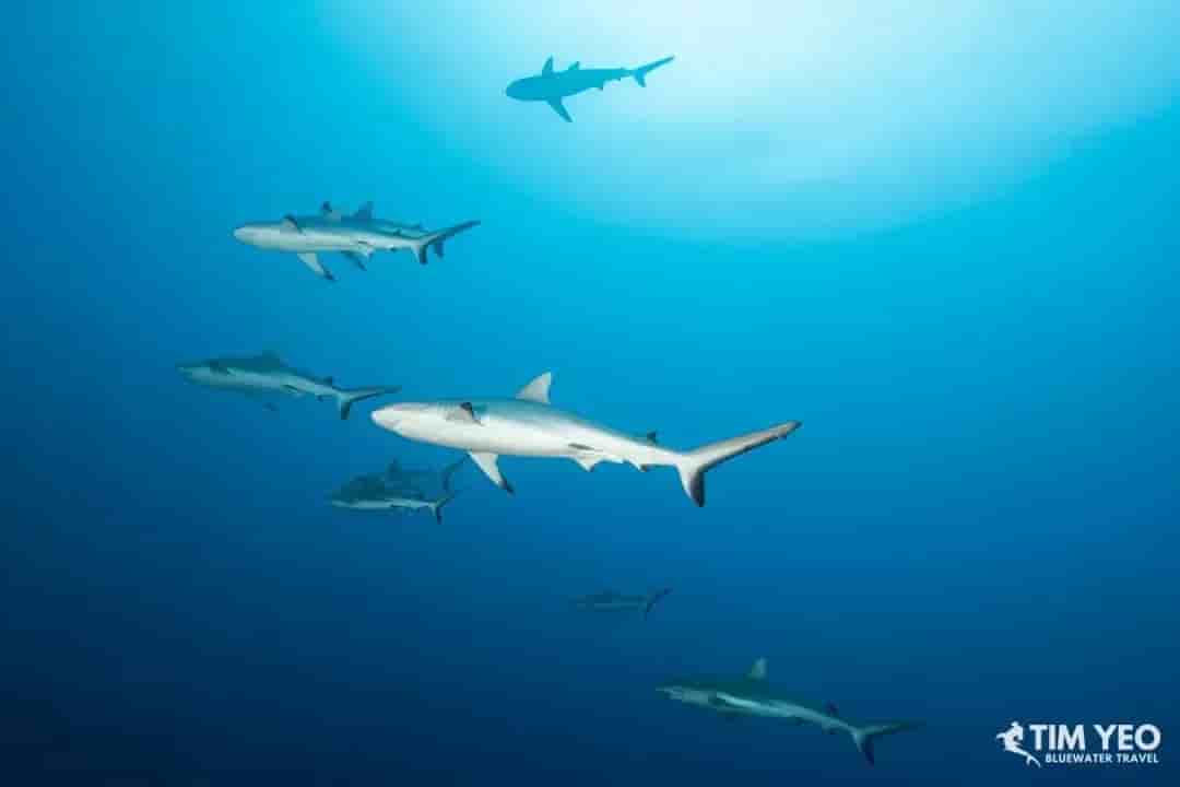 Thumbnail 4 Thumbnail 4