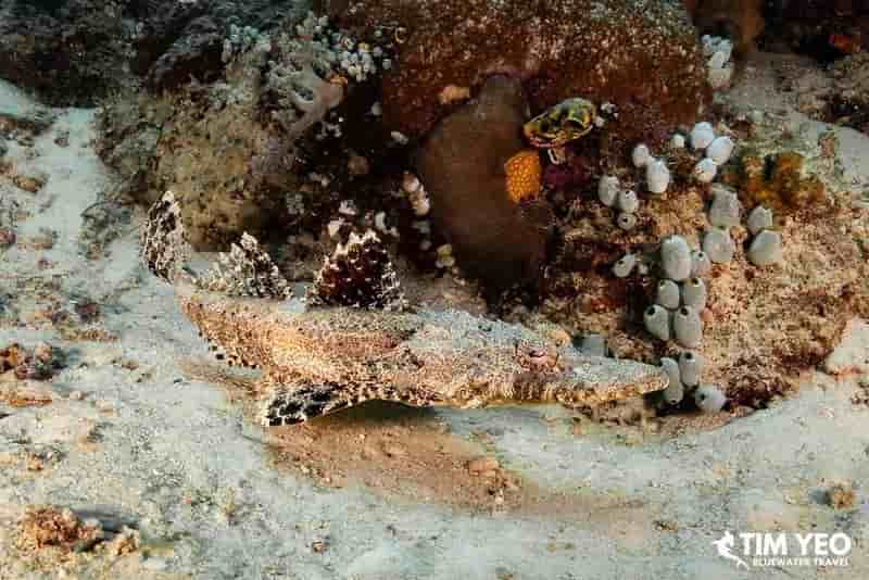 Thumbnail 4 Thumbnail 4