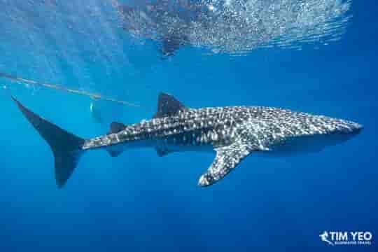 Thumbnail 2 Thumbnail 2