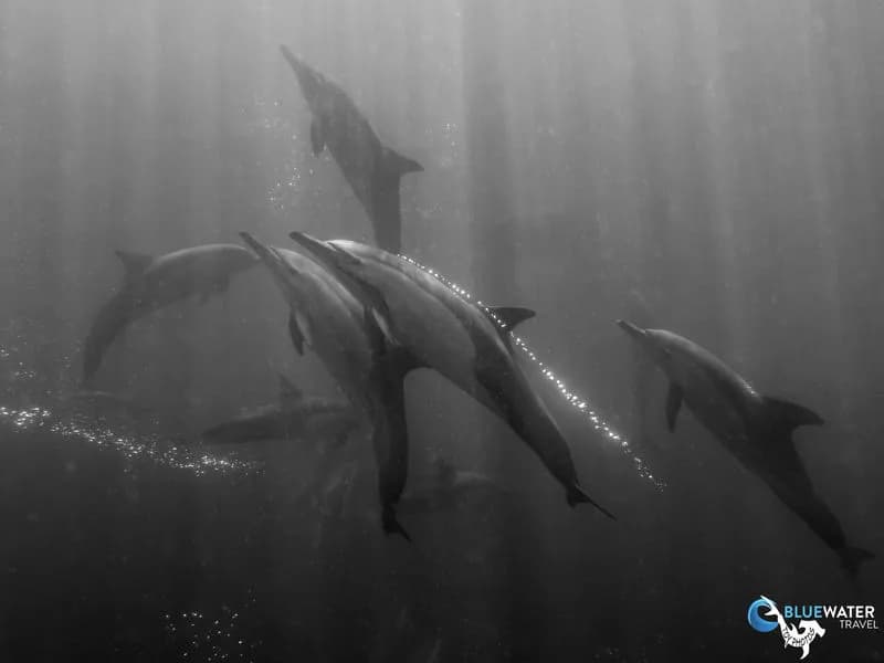 No alternative text provided No alternative text provided