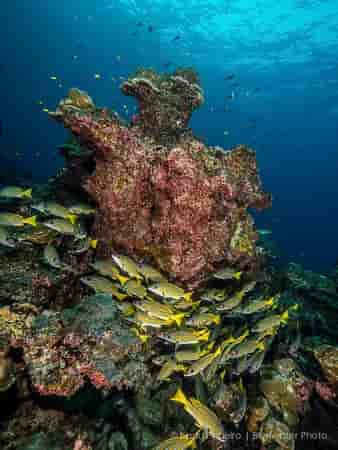 Thumbnail 3 Thumbnail 3