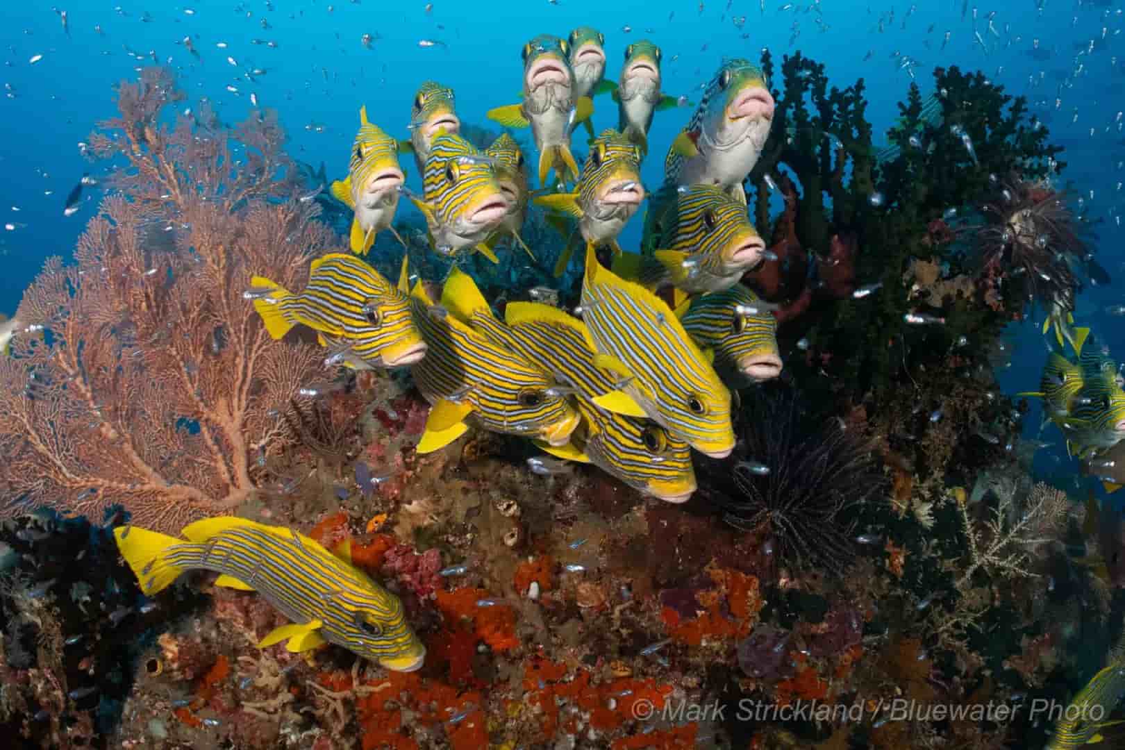 Thumbnail 3 Thumbnail 3