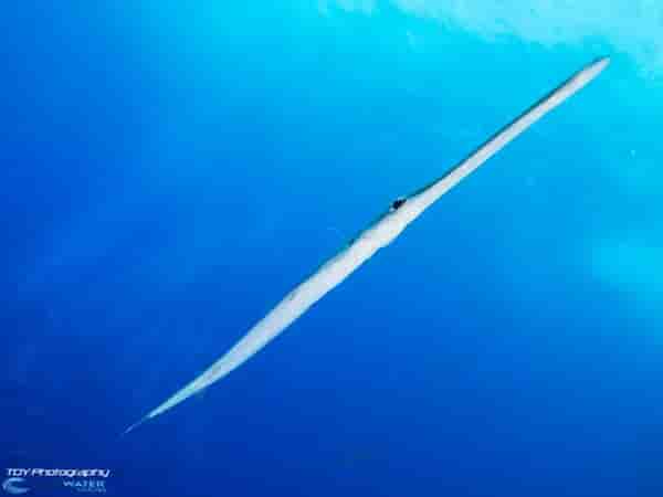 Thumbnail 4 Thumbnail 4